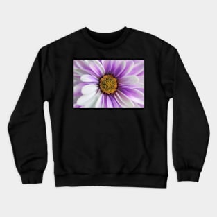 Purple Daisy Gerbera Crewneck Sweatshirt